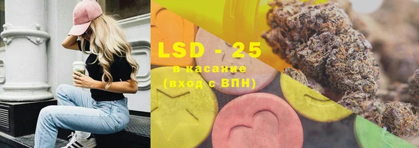индика Богданович