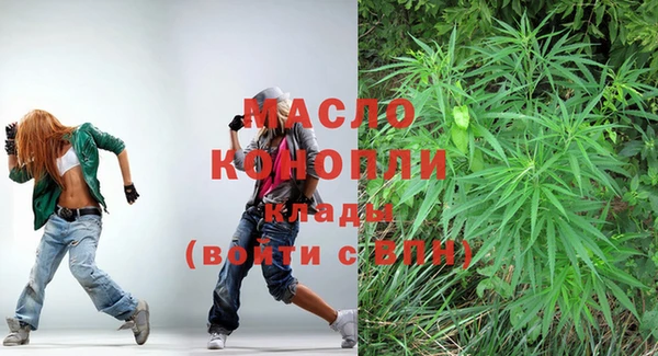 индика Богданович