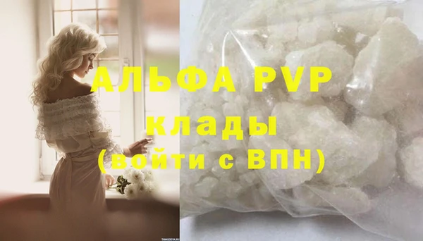 крисы Бородино