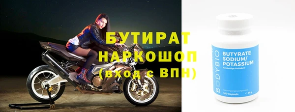 крисы Бородино
