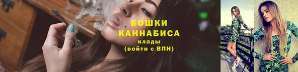 индика Богданович