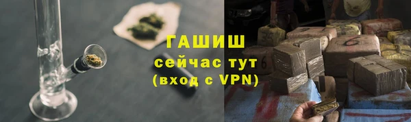 индика Богданович
