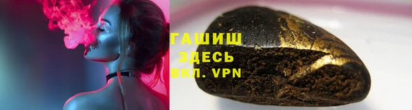 крисы Бородино