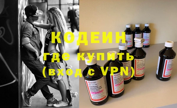 индика Богданович