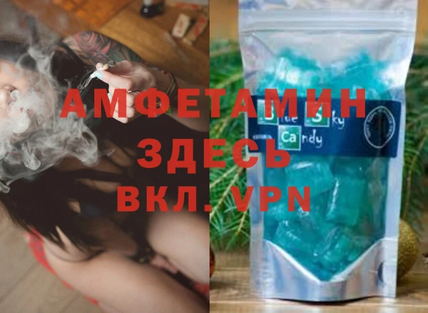 индика Богданович