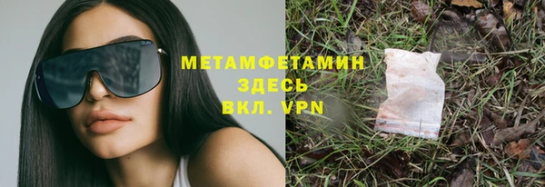 индика Богданович