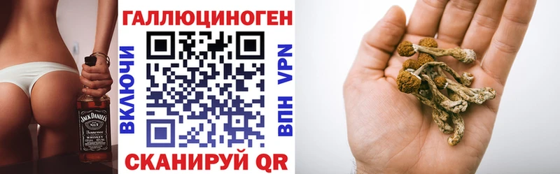купить цена Вязники Псилоцибиновые грибы ЛСД